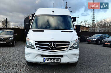 Минивэн Mercedes-Benz Sprinter 2014 в Кременце