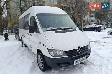 Микроавтобус Mercedes-Benz Sprinter 2003 в Запорожье