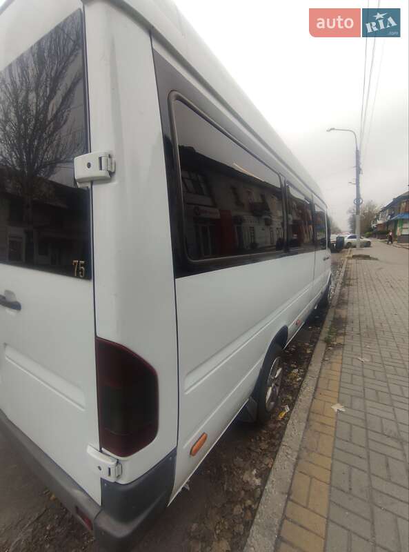 Микроавтобус Mercedes-Benz Sprinter 1998 в Запорожье