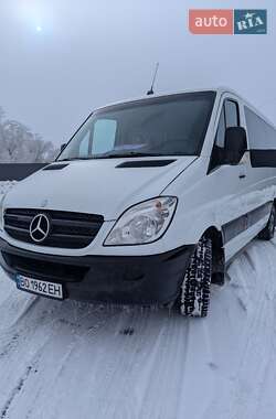 Мінівен Mercedes-Benz Sprinter 2006 в Тернополі