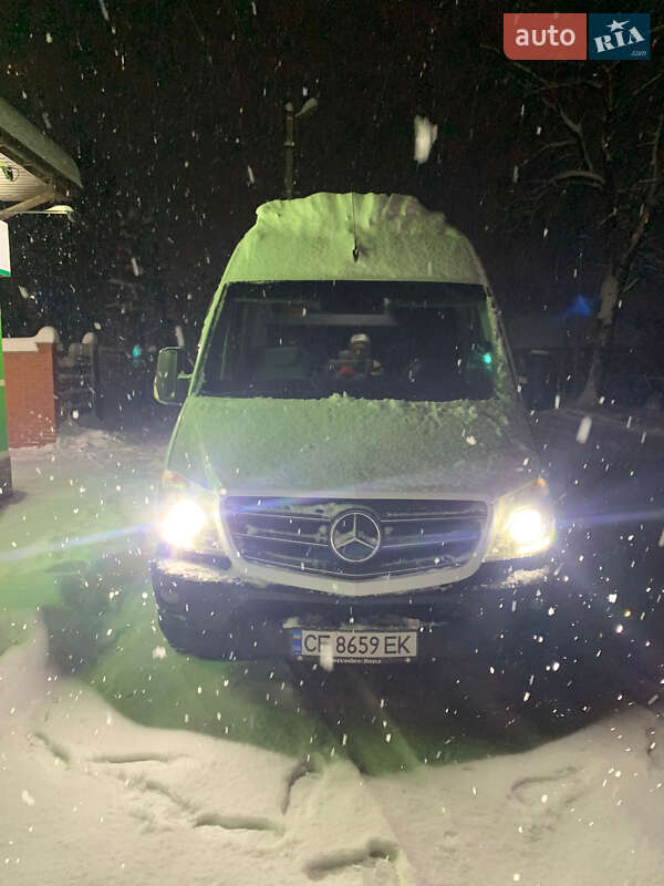 Микроавтобус Mercedes-Benz Sprinter 2014 в Сваляве