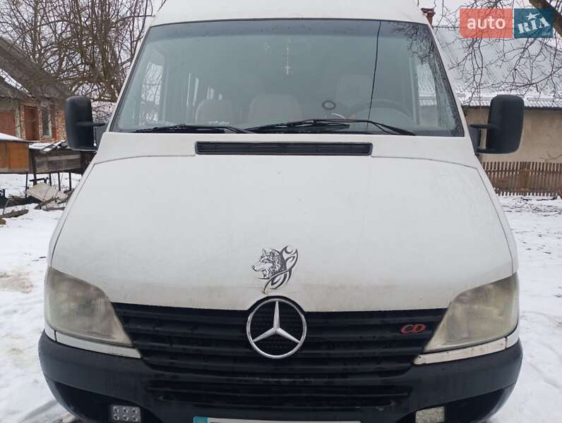 Другие автобусы Mercedes-Benz Sprinter 2002 в Стебнику