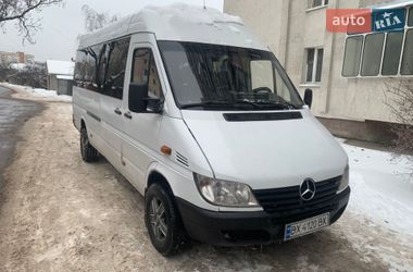 Грузопассажирский фургон Mercedes-Benz Sprinter 2001 в Хмельницком