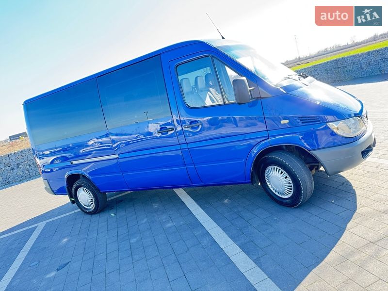 Микроавтобус Mercedes-Benz Sprinter 2006 в Мукачево
