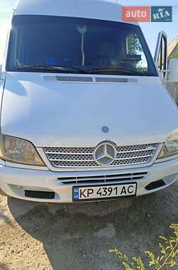 Микроавтобус Mercedes-Benz Sprinter 2002 в Запорожье