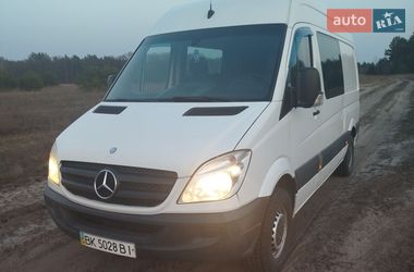 Минивэн Mercedes-Benz Sprinter 2006 в Любешове
