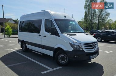 Минивэн Mercedes-Benz Sprinter 2010 в Киеве