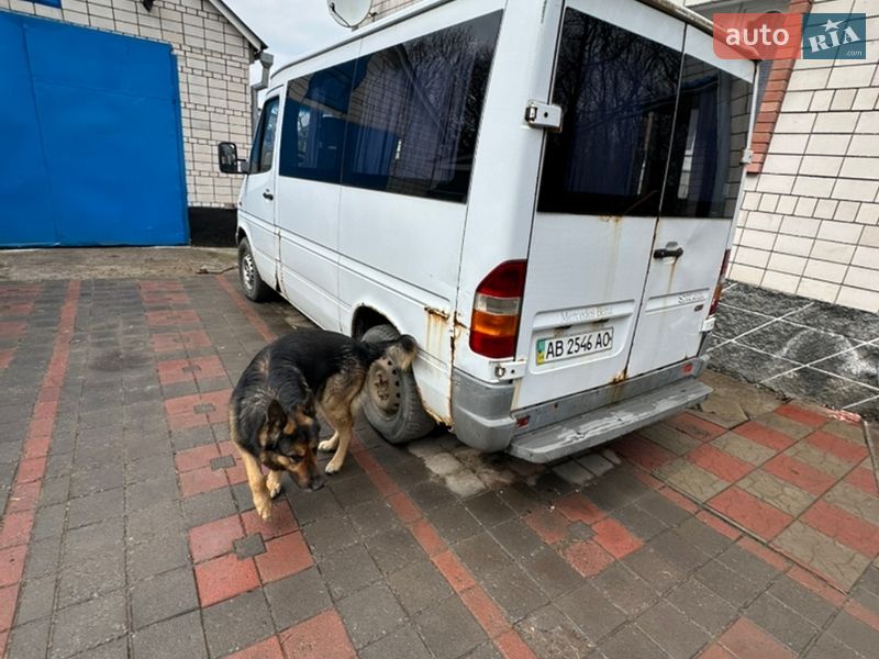 Минивэн Mercedes-Benz Sprinter 2000 в Виннице