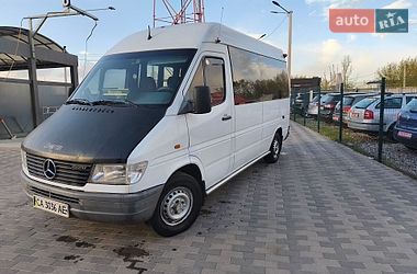Минивэн Mercedes-Benz Sprinter 1997 в Лубнах