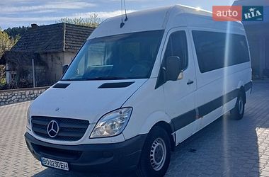 Мінівен Mercedes-Benz Sprinter 2007 в Теребовлі