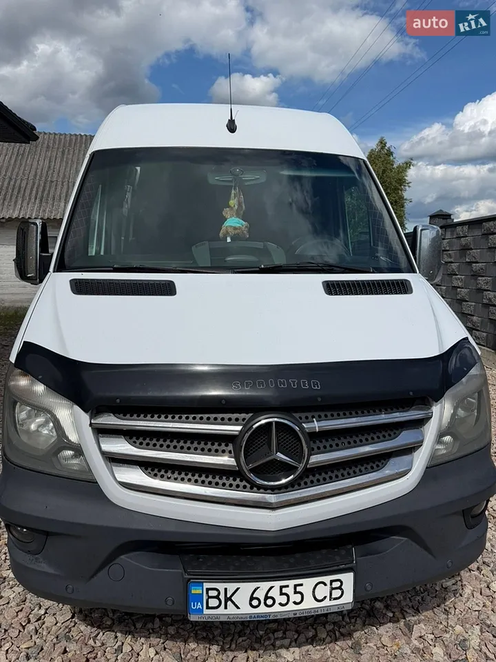 2017 Mercedes-Benz Sprinter - мініатюра 14