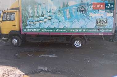 Інші вантажівки Mercedes-Benz T2 1994 в Долині