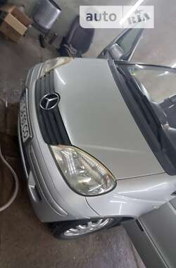 Мінівен Mercedes-Benz Vaneo 2004 в 