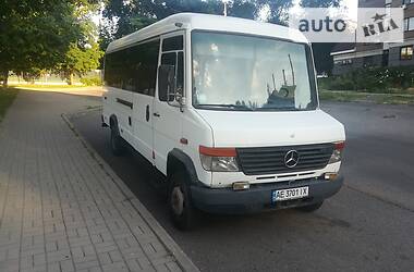 Микроавтобус Mercedes-Benz Vario 1999 в Днепре