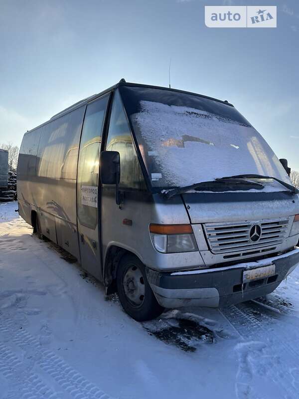 Туристический / Междугородний автобус Mercedes-Benz Vario 2001 в Полтаве