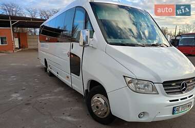 Мікроавтобус Mercedes-Benz Vario 2009 в Кривому Розі