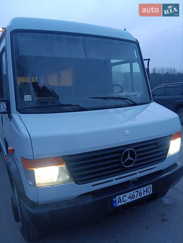 Туристический / Междугородний автобус Mercedes-Benz Vario 2011 в Ковеле