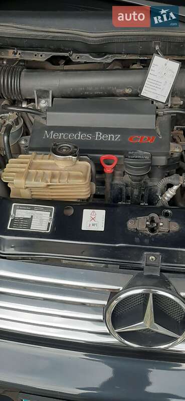 Минивэн Mercedes-Benz Vito 2003 в Черновцах