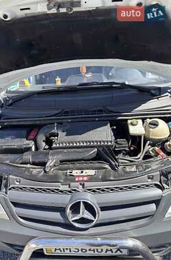 Минивэн Mercedes-Benz Vito 2010 в 