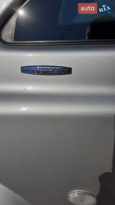 Минивэн Mercedes-Benz Vito 2013 в Хороле