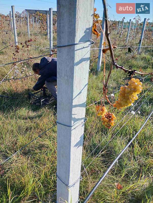 Минивэн Mercedes-Benz Vito 2008 в Киеве