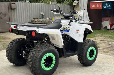 Квадроцикл  утилитарный Mikilon Hamer 200L 2022 в 
