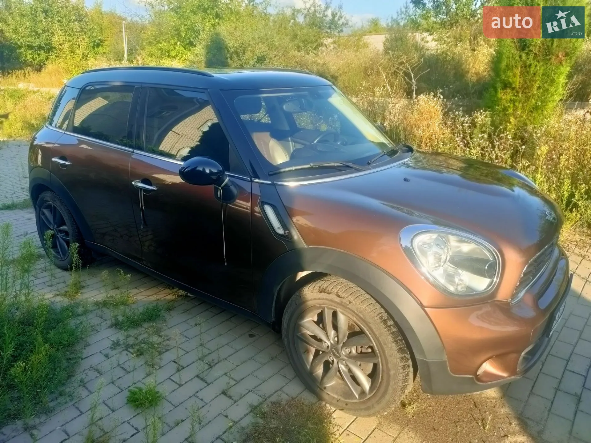 2013 MINI Countryman - фото 1
