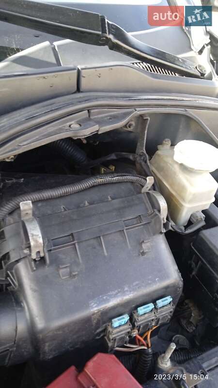 Минивэн Mitsubishi Grandis 2006 в Житомире