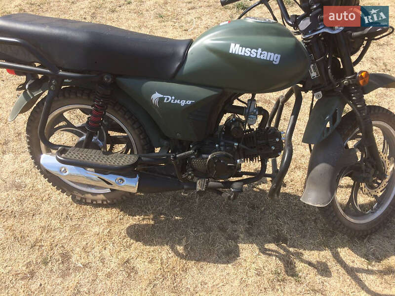 Мотоцикл Многоцелевой (All-round) Musstang Dingo 2020 в Иршаве