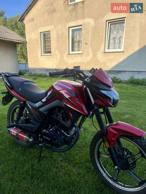 Мотоцикл Классик Musstang MT 200-8 2024 в 