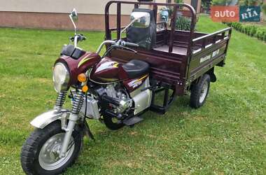 Грузовые трициклы Mustang BL 2019 в 
