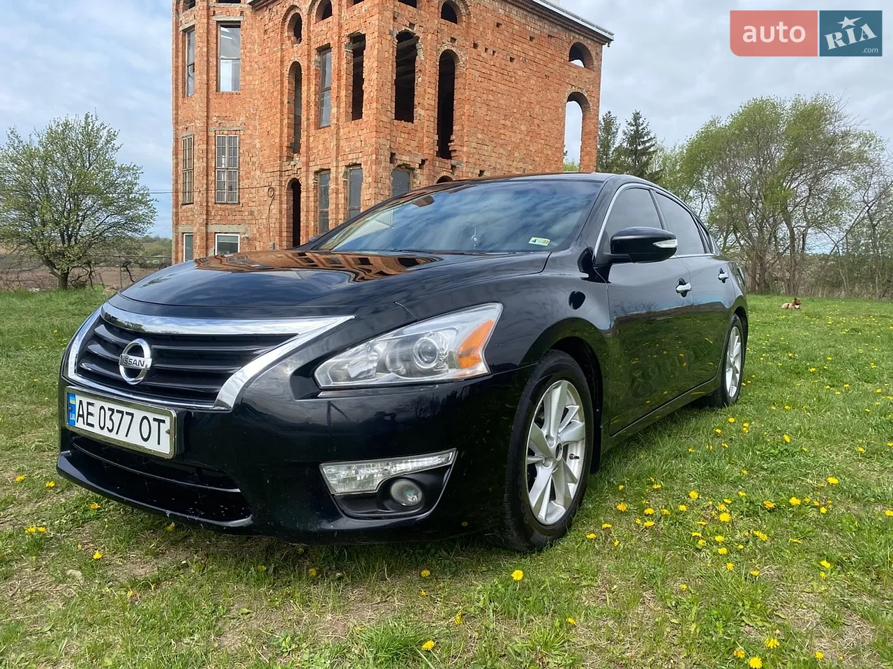 2014 Nissan Altima - мініатюра 24