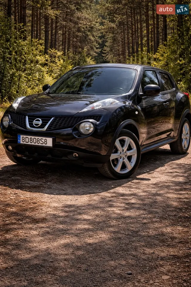2013 Nissan Juke - мініатюра 38