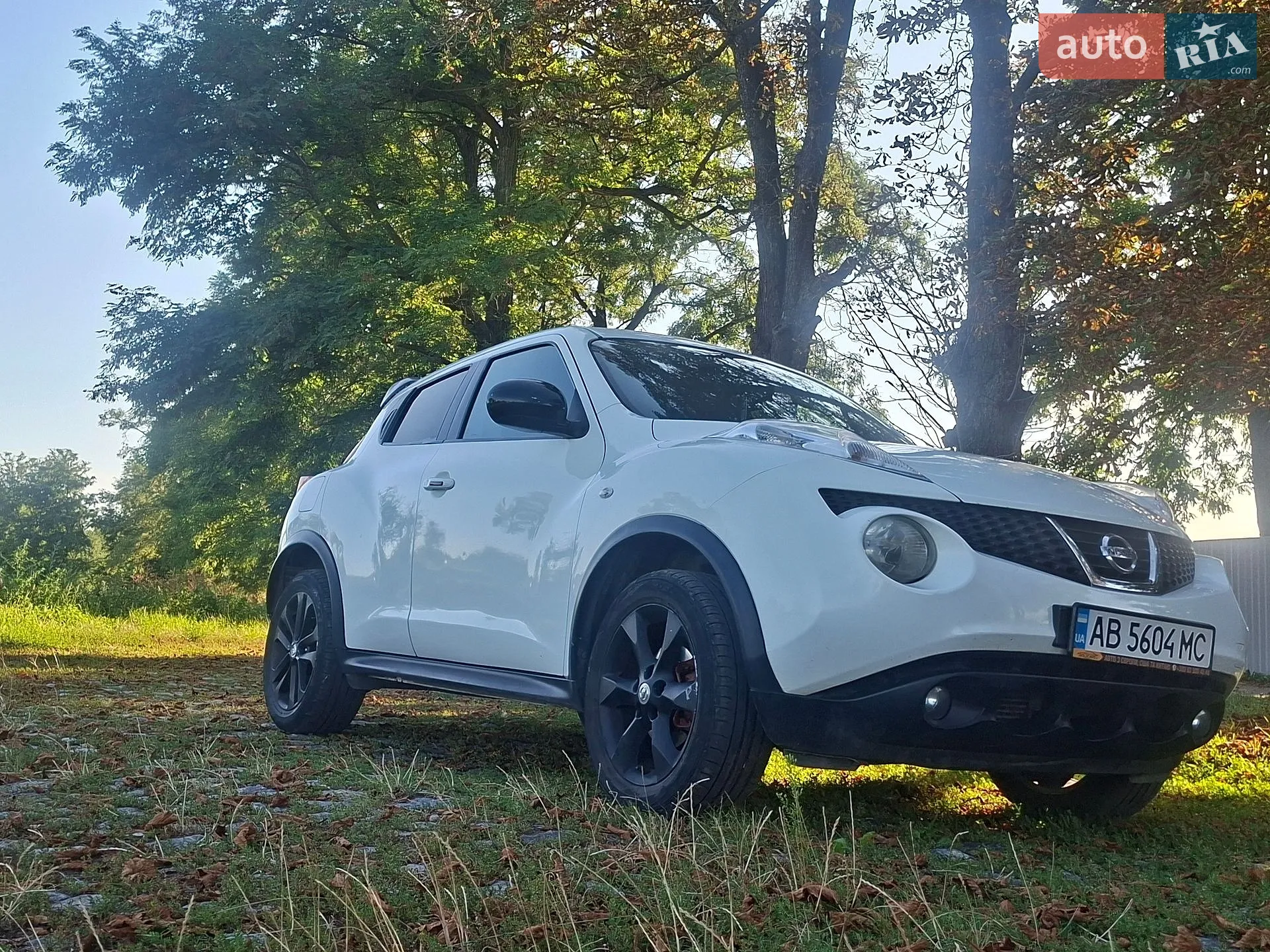 2011 Nissan Juke - мініатюра 5