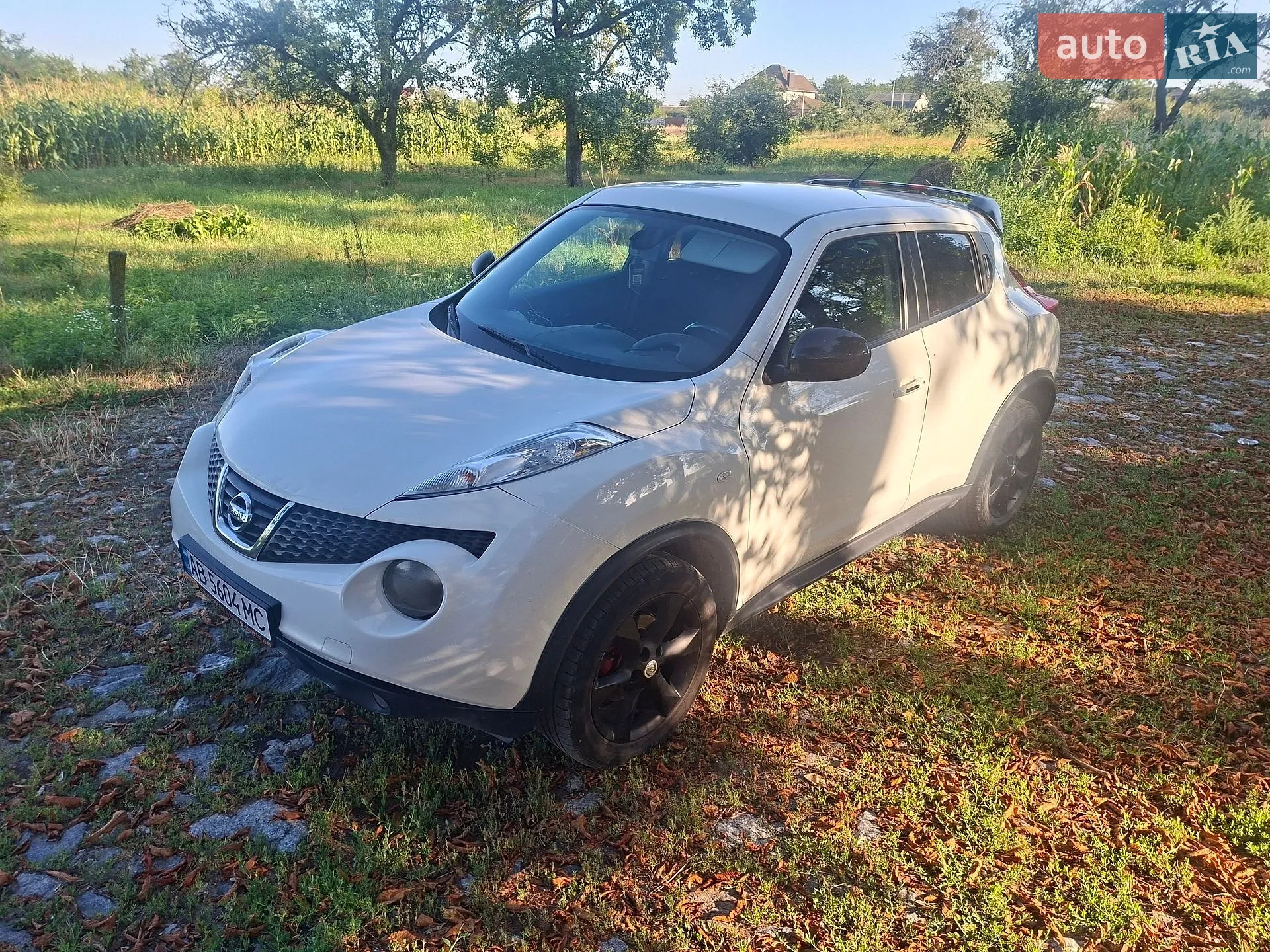 2011 Nissan Juke - мініатюра 3