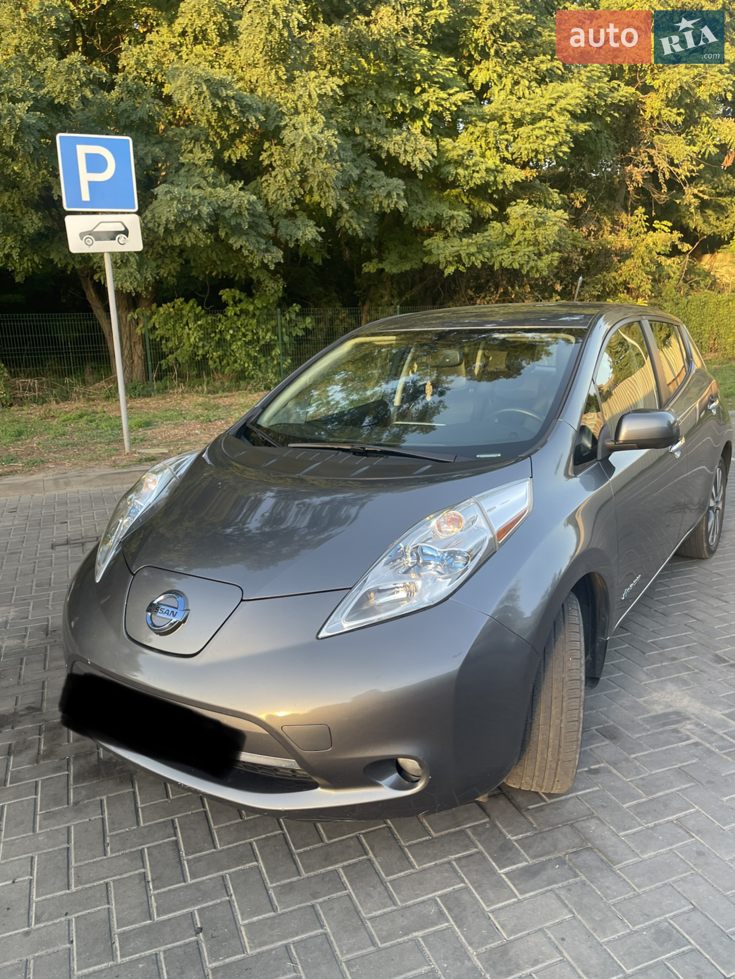2014 Nissan Leaf - мініатюра 2