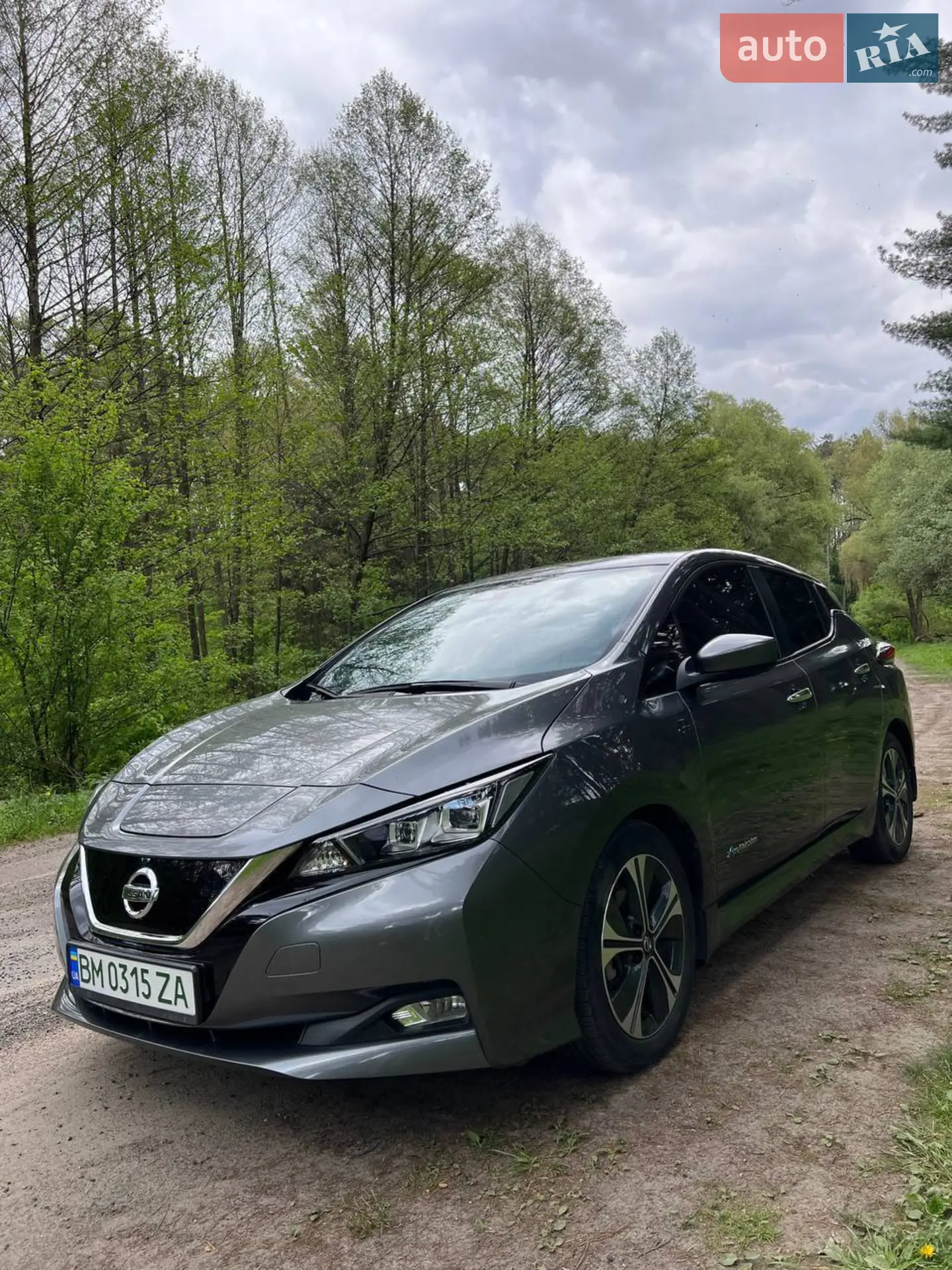 2018 Nissan Leaf - мініатюра 4