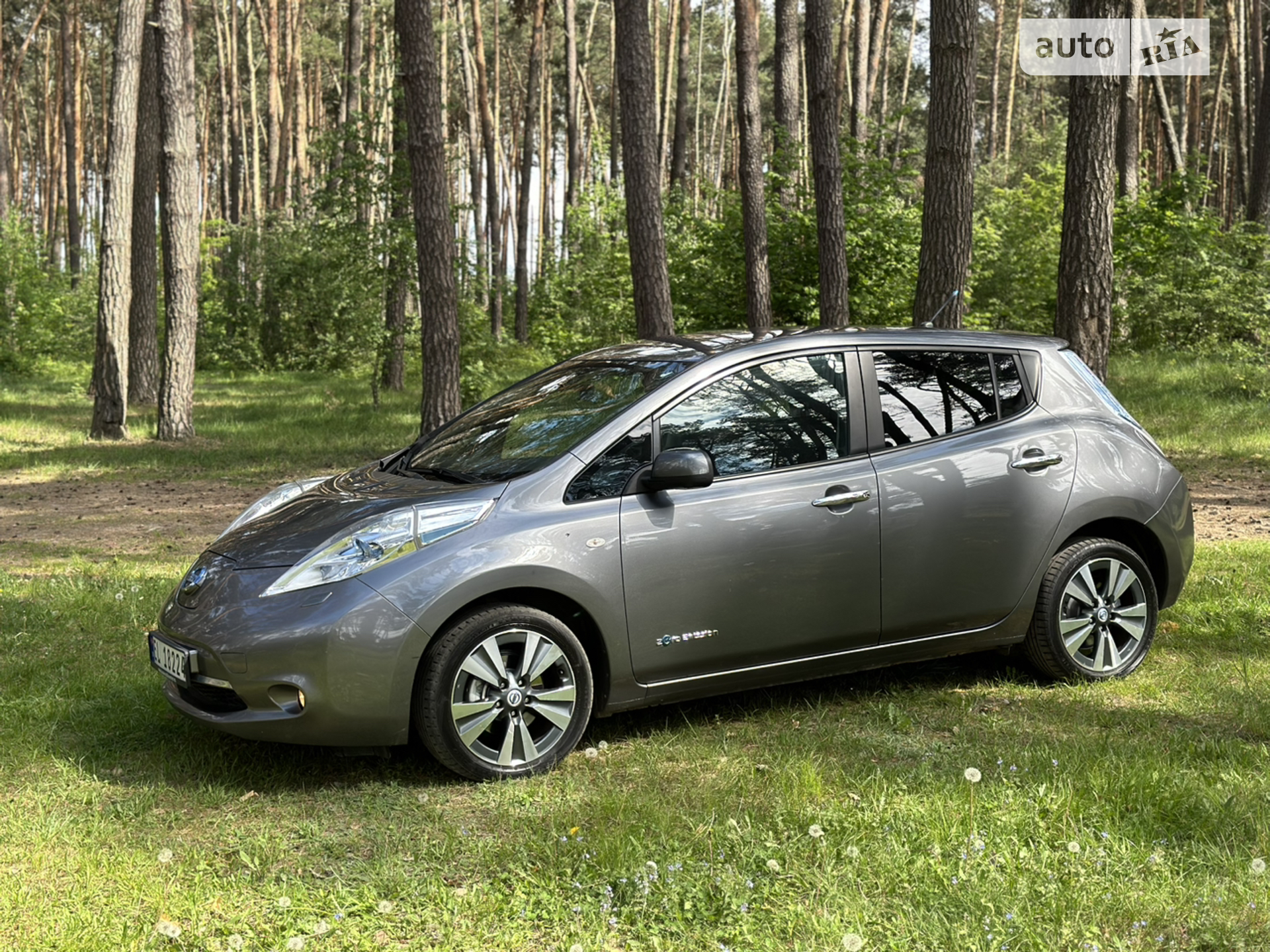2014 Nissan Leaf - мініатюра 22