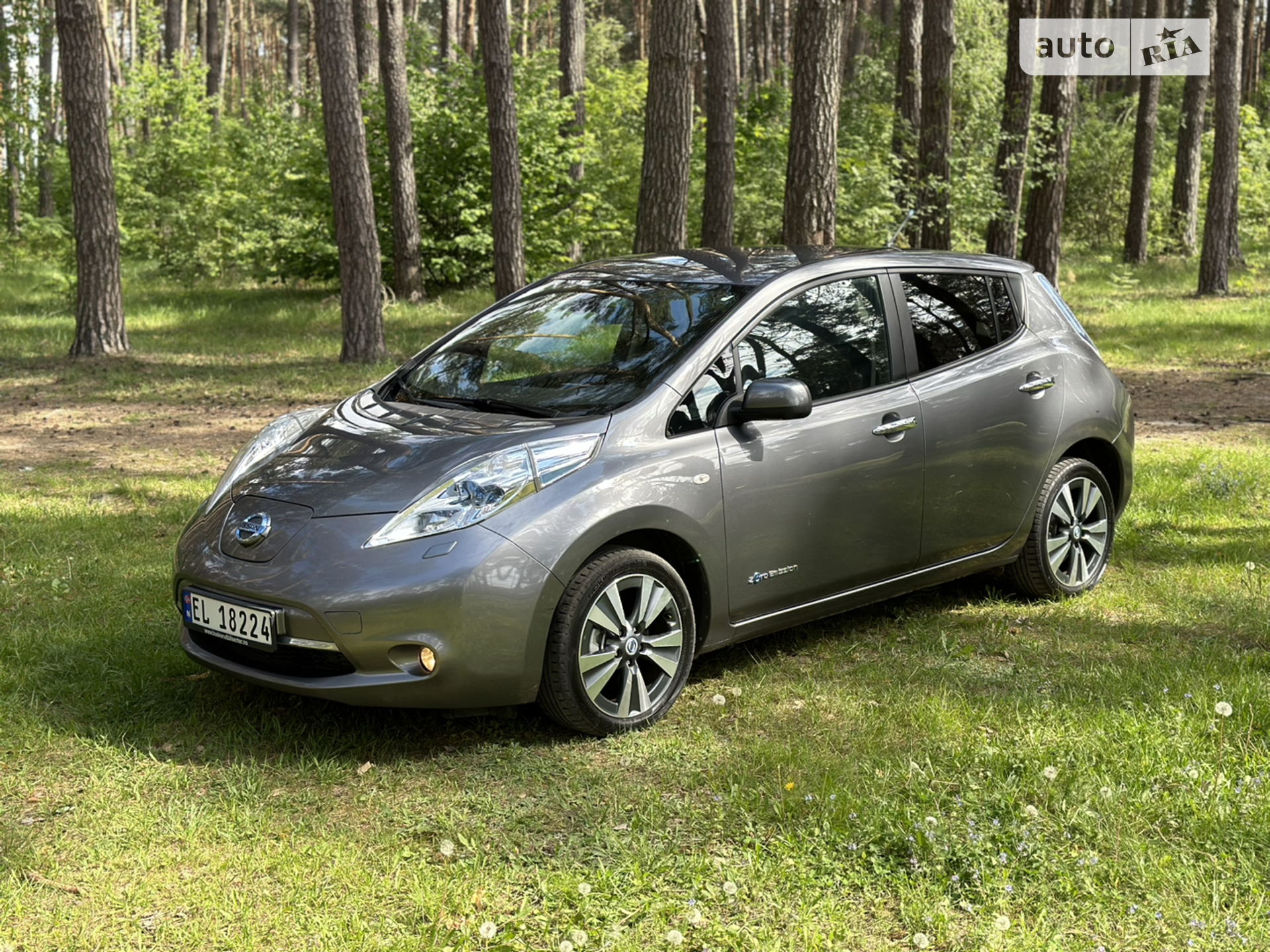 2014 Nissan Leaf - мініатюра 23