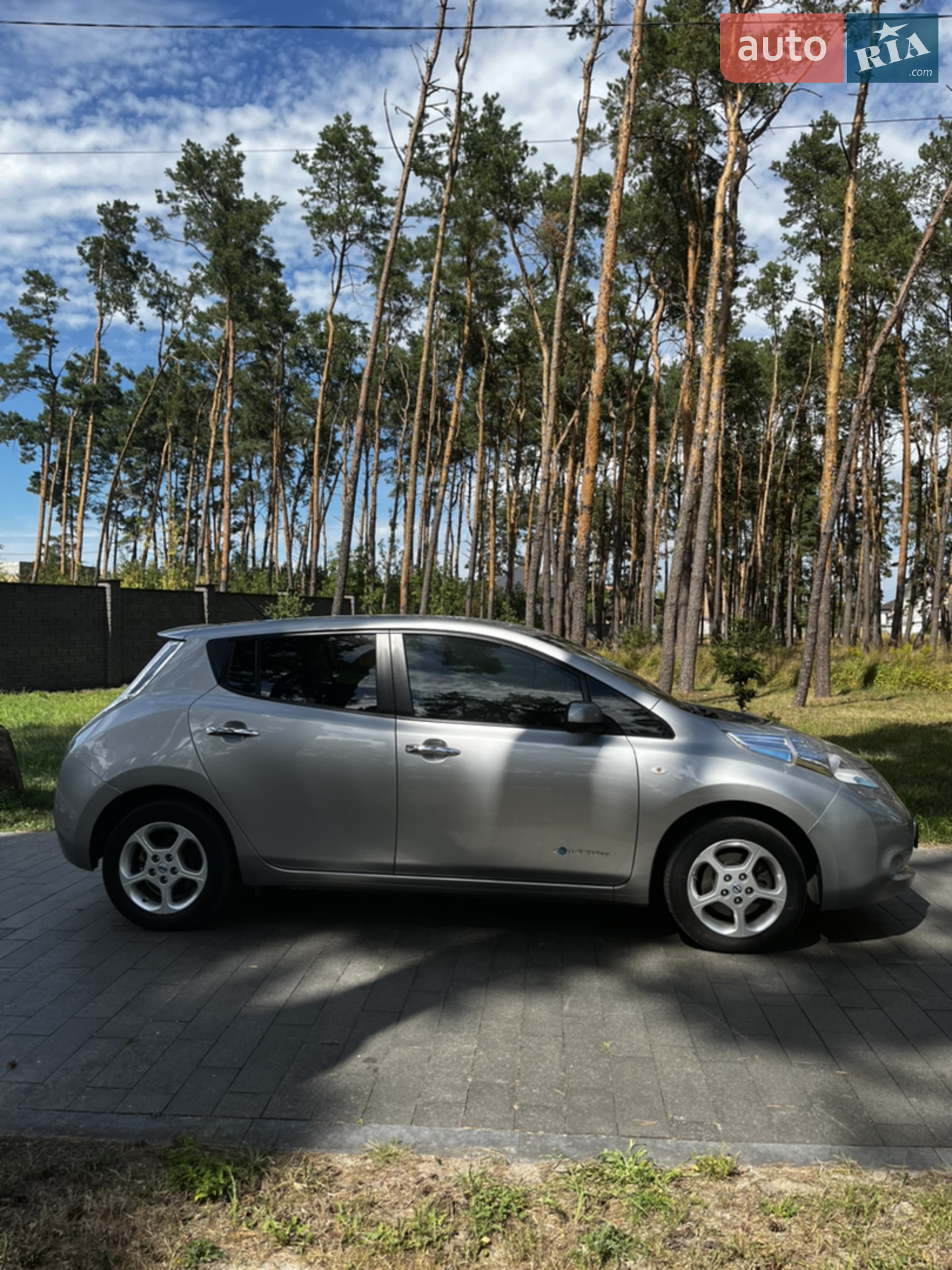 2014 Nissan Leaf - мініатюра 2
