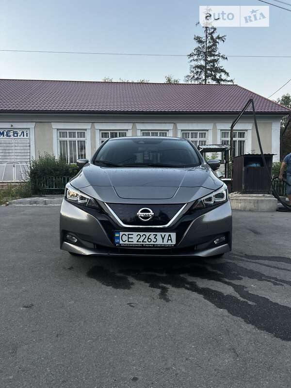 Хетчбек Nissan Leaf 2018 в Сокирянах