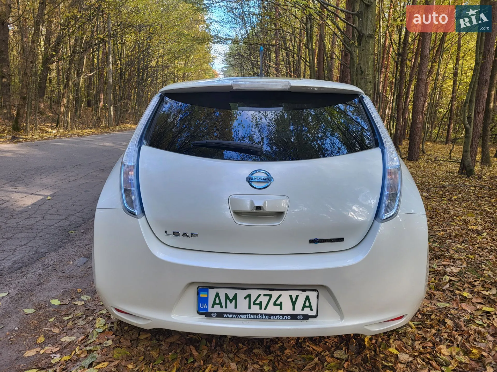 2014 Nissan Leaf - мініатюра 2