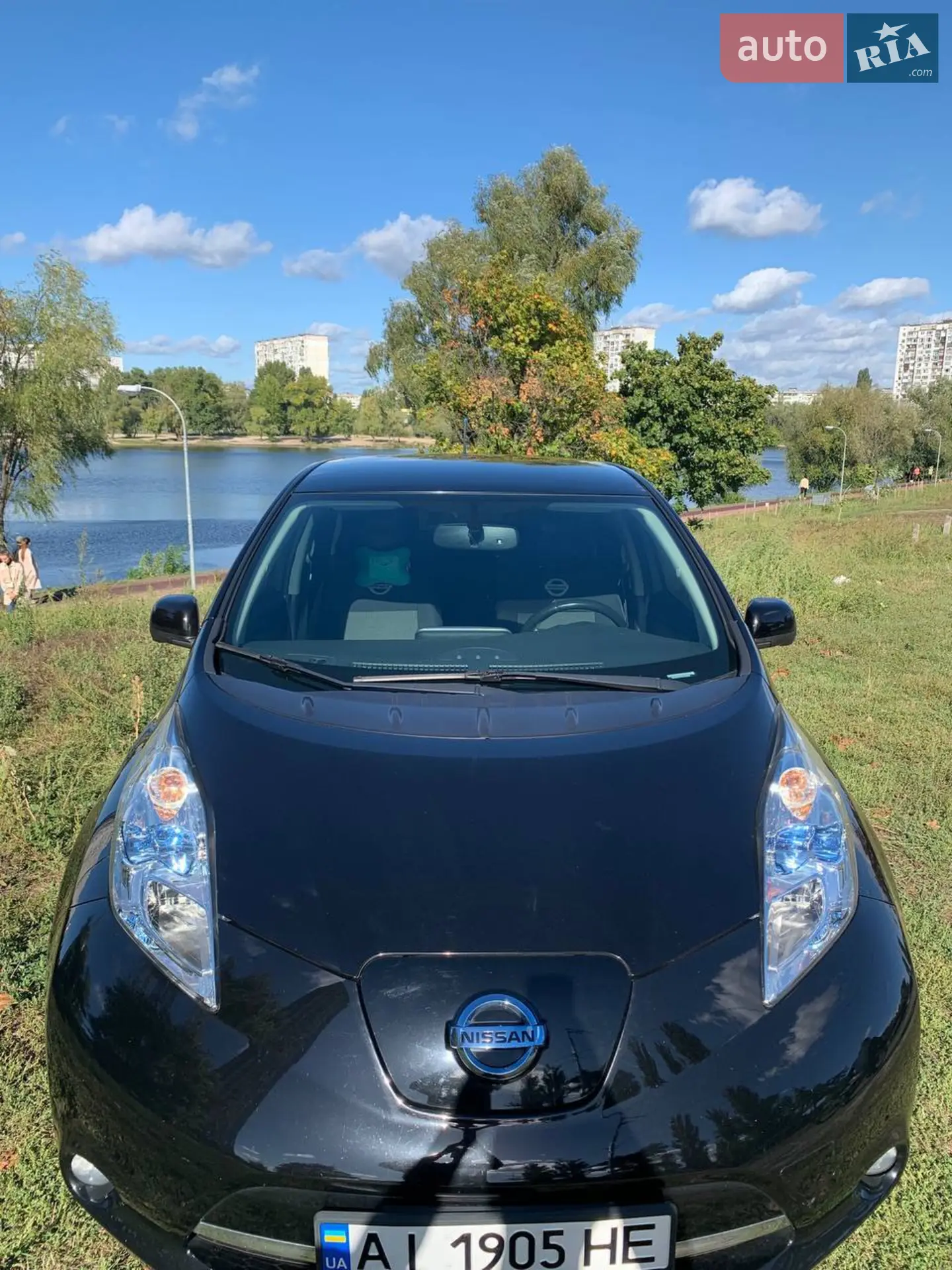 2014 Nissan Leaf - мініатюра 2