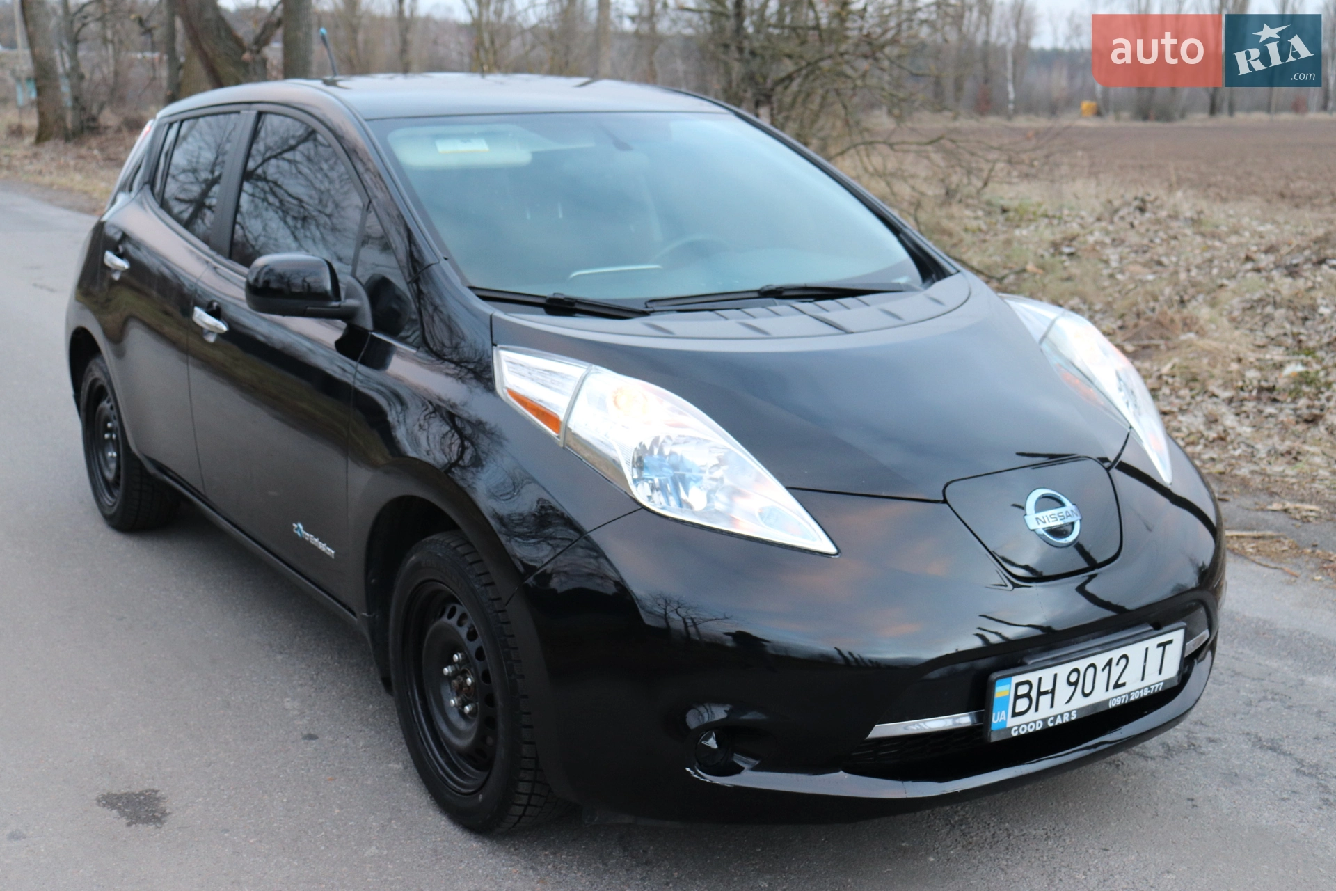 2013 Nissan Leaf - мініатюра 3