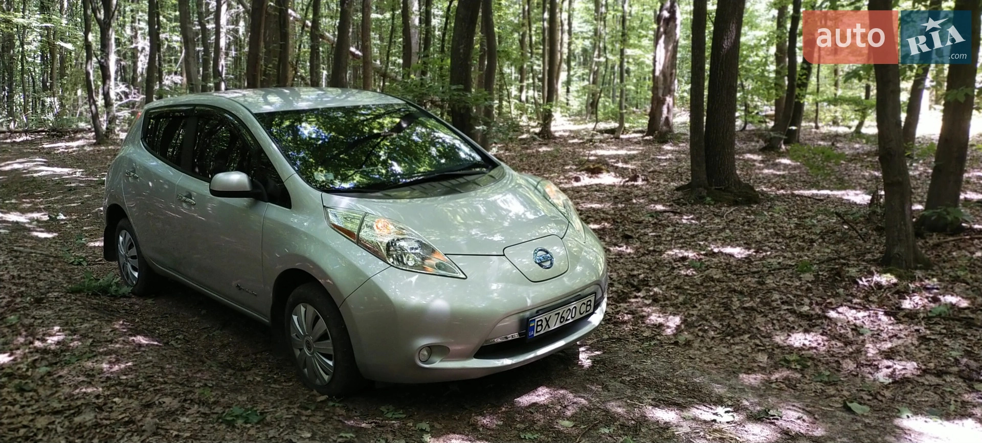 2014 Nissan Leaf - мініатюра 4