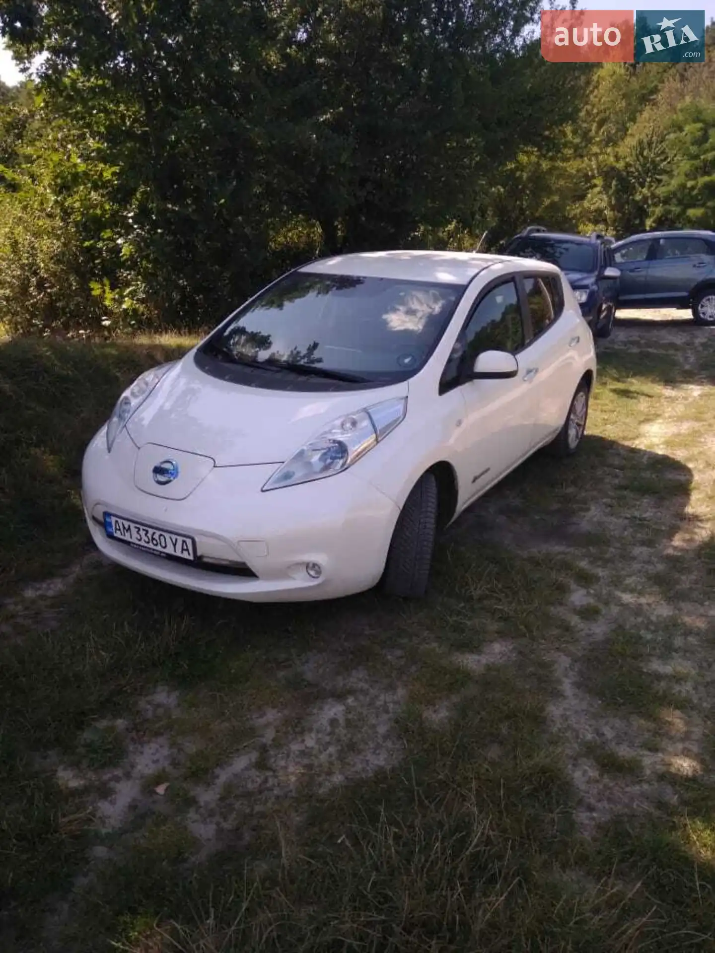2013 Nissan Leaf - мініатюра 3