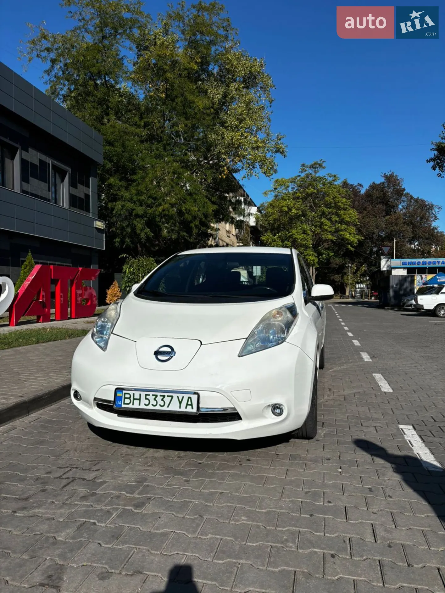 2013 Nissan Leaf - фото 1