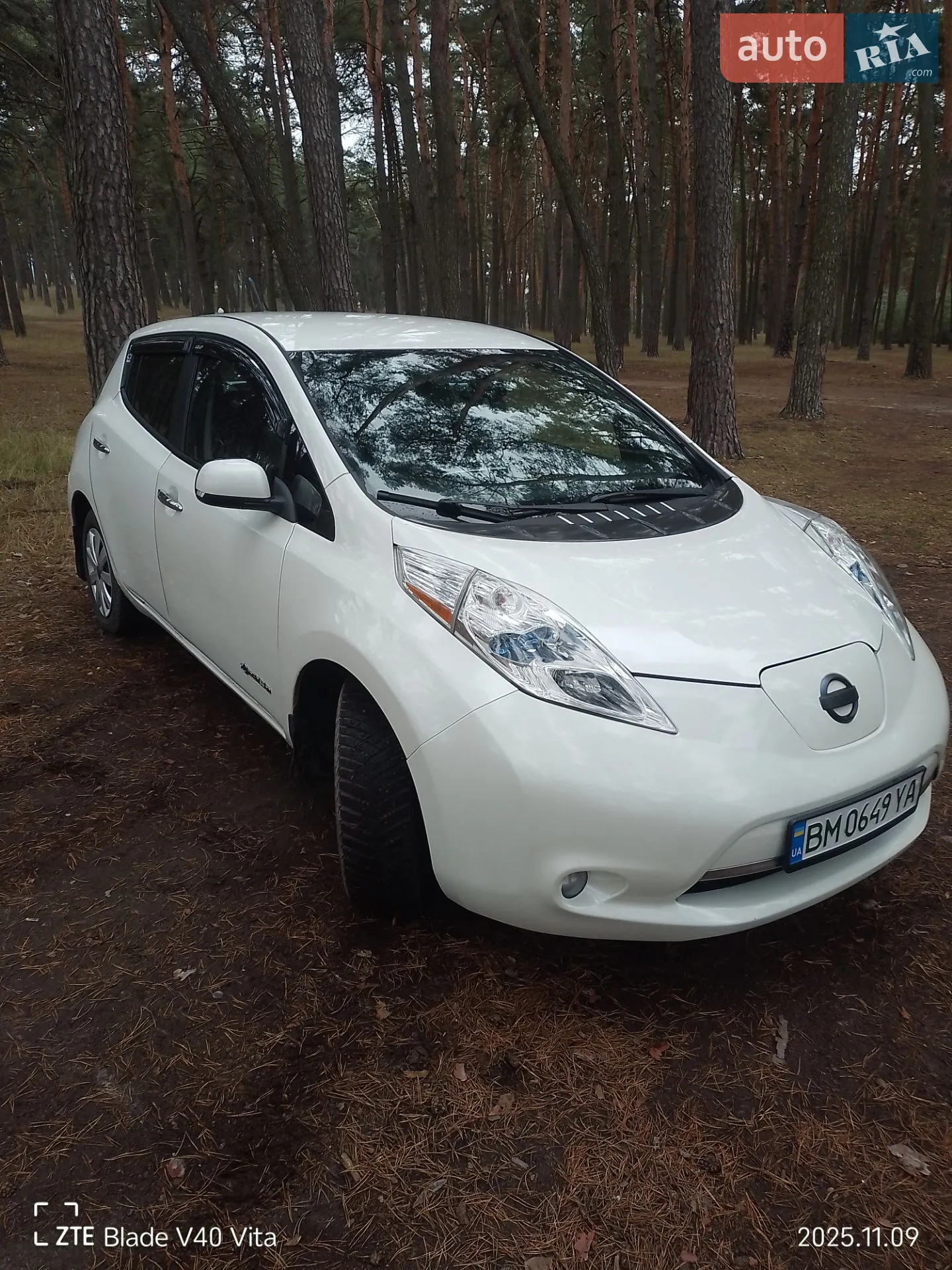2013 Nissan Leaf - мініатюра 5