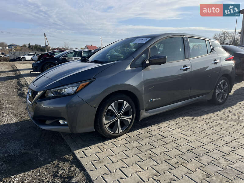 Nissan Leaf 2019