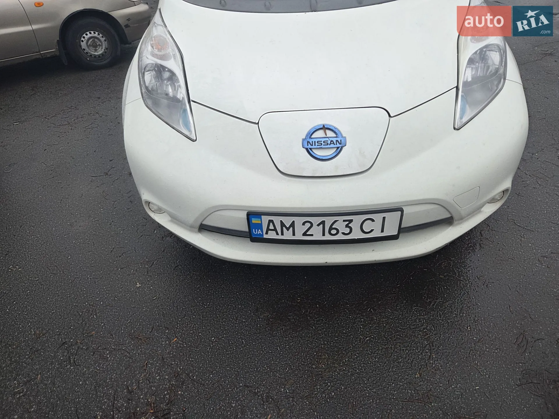 2015 Nissan Leaf - фото 1